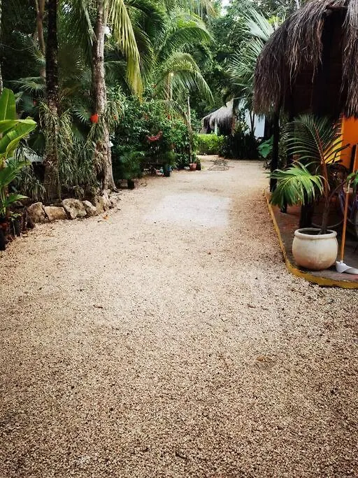 Villa Nicte 12 Guest 4Brd Tulum